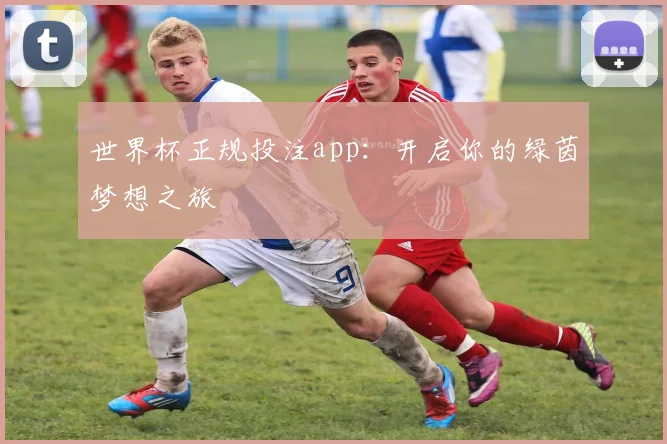 世界杯正规投注app：开启你的绿茵梦想之旅