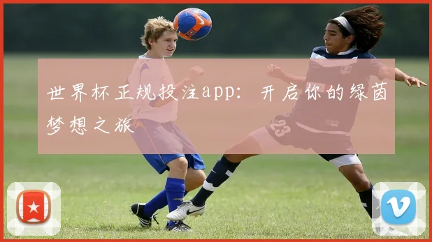 世界杯正规投注app：开启你的绿茵梦想之旅